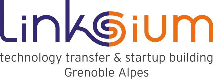 logo linksium